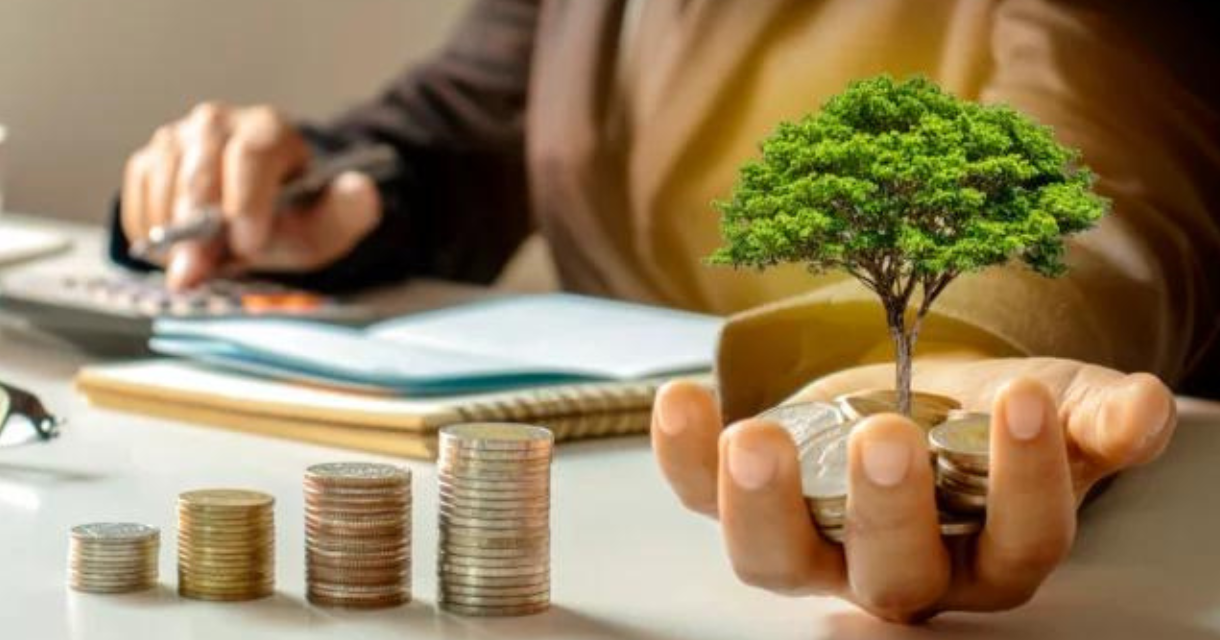 Investmentfirma: Portfolio-Optimierung